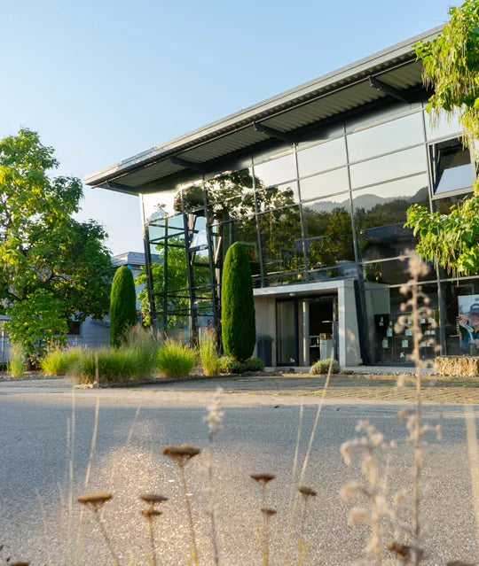 Büro von CUORE in Kirchzarten